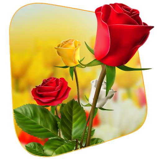 360 Flower live wallpaper 3D 1.0.4