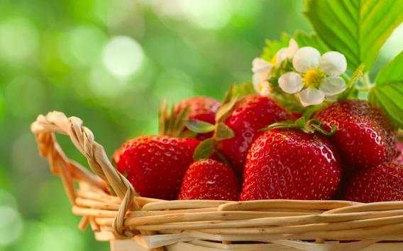 Strawberry Live Wallpaper screenshot 1
