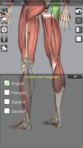 3D Bones and Organs (Anatomy) screenshot 6