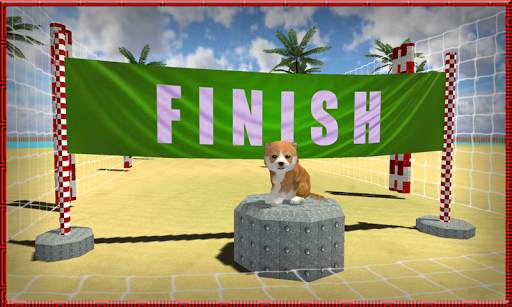 Cat Dog Pets Beach Stunts Sim screenshot 5