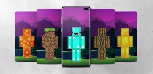 Block Skin for Minecraft screenshot 1