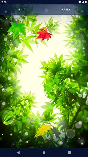 Spring Leaves Live Wallpaper screenshot 6