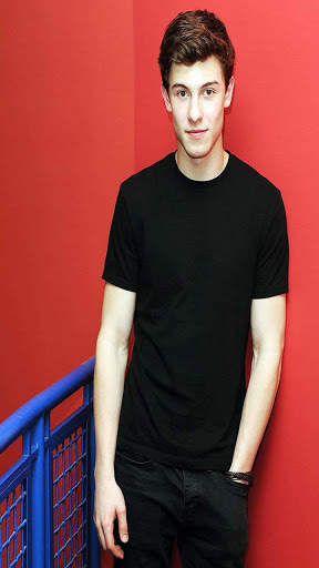 Shawan Mendes Hoyi Wallpapers screenshot 3