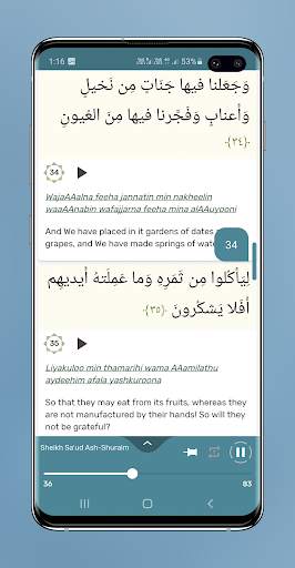 Surah Yaseen Audio Mp3 Offline and Reading screenshot 5