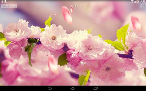 Flowers 3D live wallpaper screenshot 6