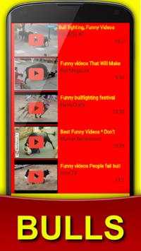 TRIMMERS FUNNY VIDEOS OF BULLS screenshot 2