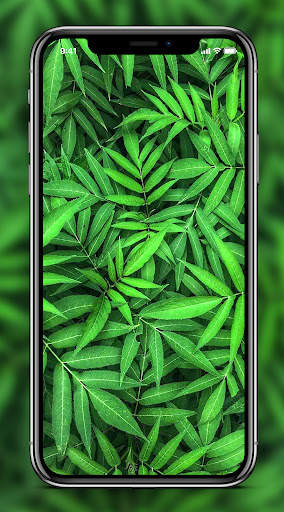 Green Wallpaper screenshot 5
