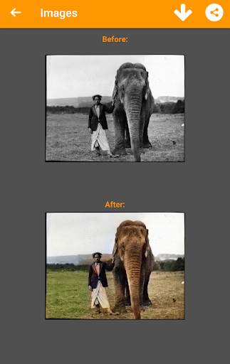 Black and White Photo Colorizer - Chromatix screenshot 4