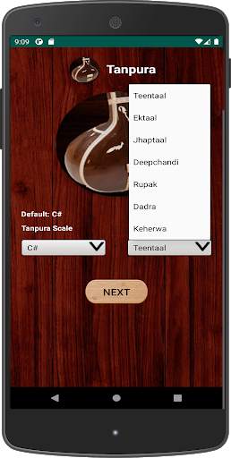 Tanpura screenshot 4
