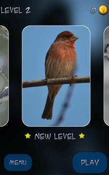 Hidden Pieces: Winter Birding screenshot 2
