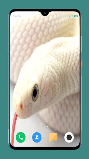 Snake Wallpaper HD screenshot 14