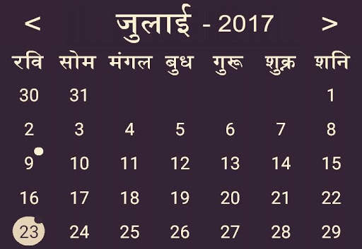 Hindi Calendar 2019 screenshot 3