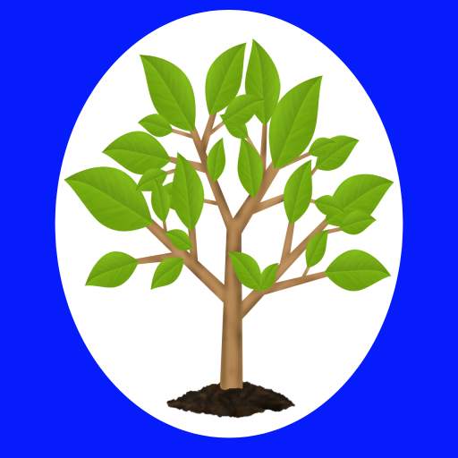 ووتەی بە نرخ 9.0