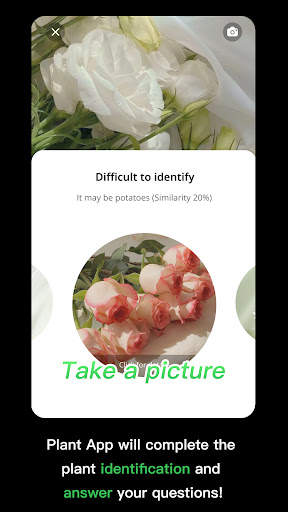 植物识别 - AI辨认植物、花卉、树木和更多 screenshot 3