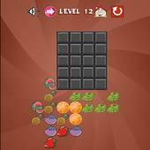 Fit Brains Block Puzzles Free 1.0.0