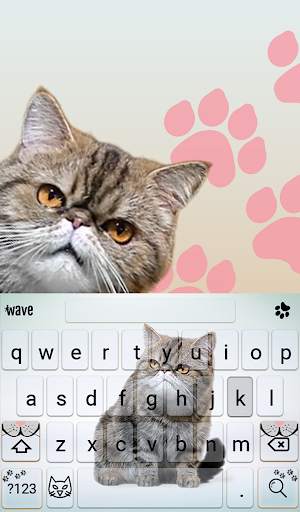 Grumpy Animated Keyboard   Live Wallpaper screenshot 2