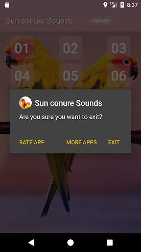 Sun conure bird sounds screenshot 5