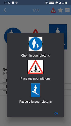 Driving school theory screenshot 5