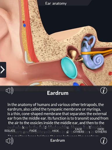My Ear Anatomy screenshot 9