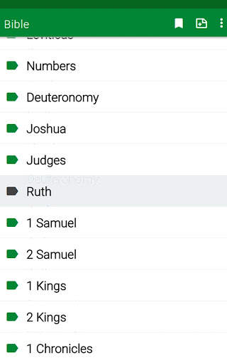 RSV Bible screenshot 19