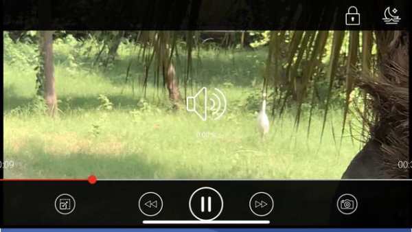 Download video For Facebook screenshot 2