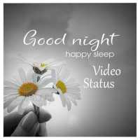 Good Night Video Status logo