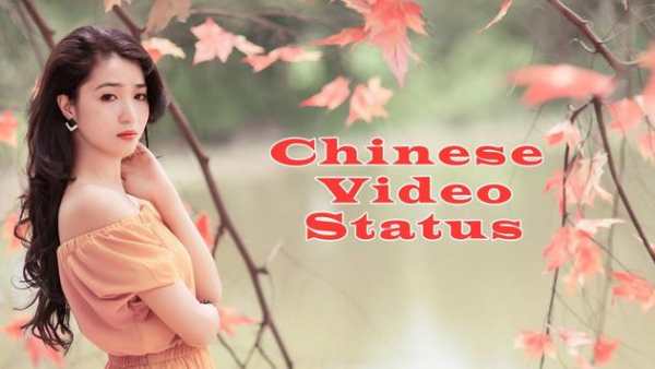 Chinese Video Status screenshot 1