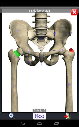 Anatomy Quiz screenshot 15