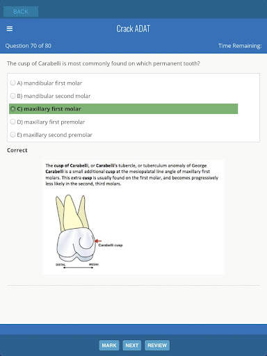 ADAT Exam Preparation screenshot 11