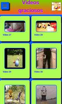 Funny videos screenshot 1