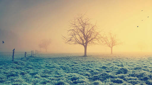 Mystic Night Live Wallpaper : 7fon & LWP screenshot 12