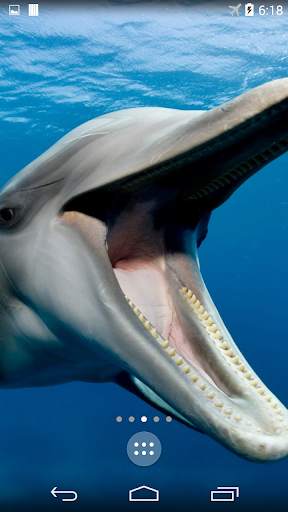 Dolphins 4K Live Wallpaper screenshot 1