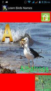 Kids Learning Birds Name screenshot 2