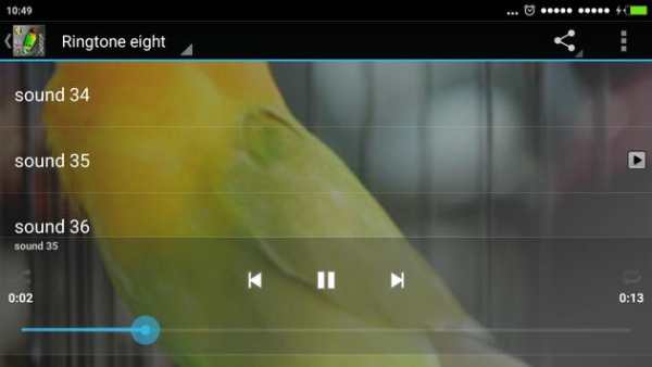 Chirp Bird Ringtone screenshot 4