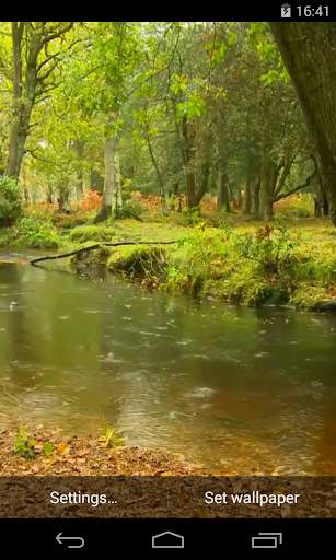 Rain in the forest Video LWP screenshot 1