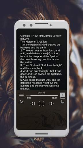 NKJV Bible Free Download screenshot 3