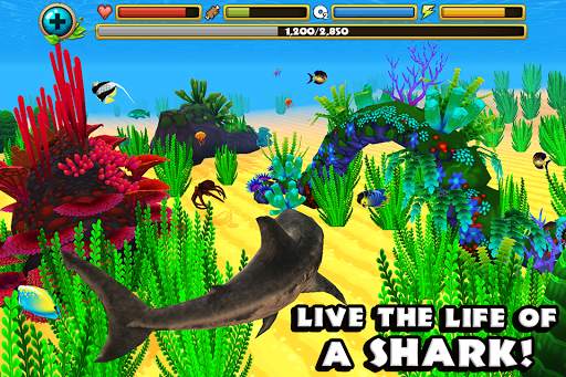 Wildlife Simulator: Shark screenshot 1