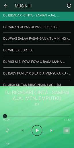 DJ beta janji beta jaga screenshot 5