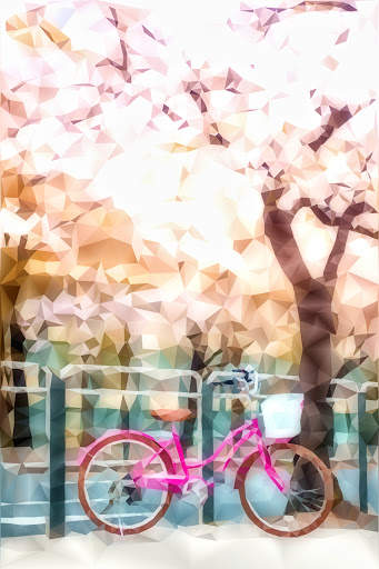 Low Poly - Pro Editor & Photo Effects screenshot 9