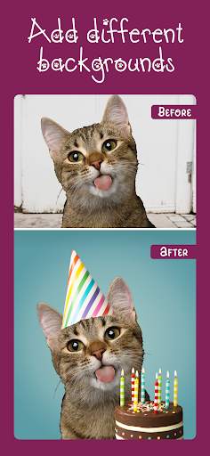 Cat Photo Editor screenshot 3