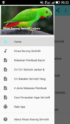 Kicau-Kicau Burung Serindit Terbaru 1 تصوير الشاشة
