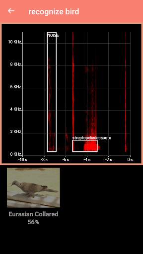 Bird Identification स्क्रीनशॉट 3
