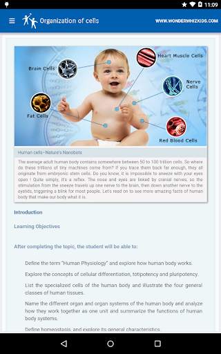 Organization of cells screenshot 1