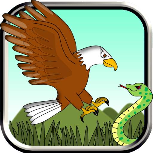 Angry Eagles 1.0.1