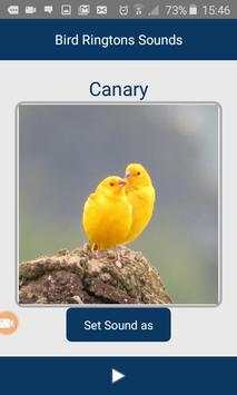 Bird Ringtons Sounds screenshot 1