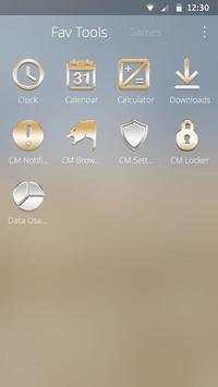 Gold and Silver Theme screenshot 3
