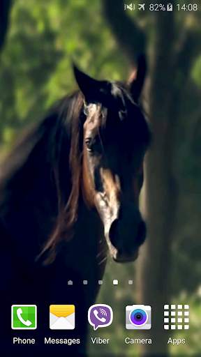 Horse 4K Video Live Wallpaper screenshot 2