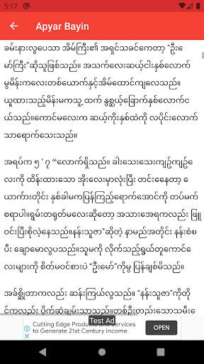 Apyar King screenshot 2