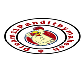 Dream11 Pandit icon