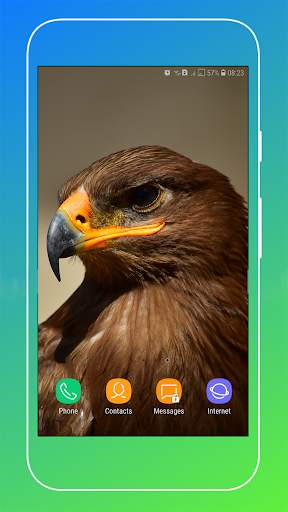HD Eagle Wallpaper screenshot 13